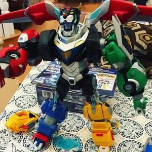 Meet your Posher, Nicky